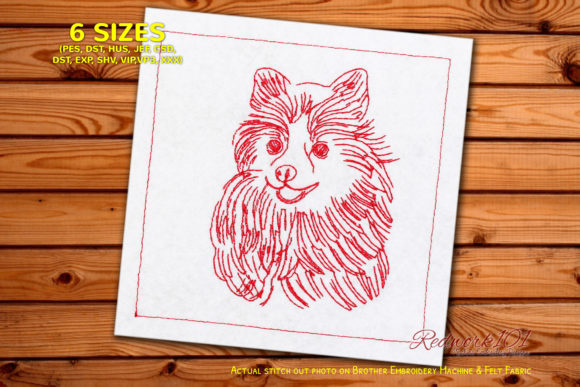 Cute Pomeranian Dog